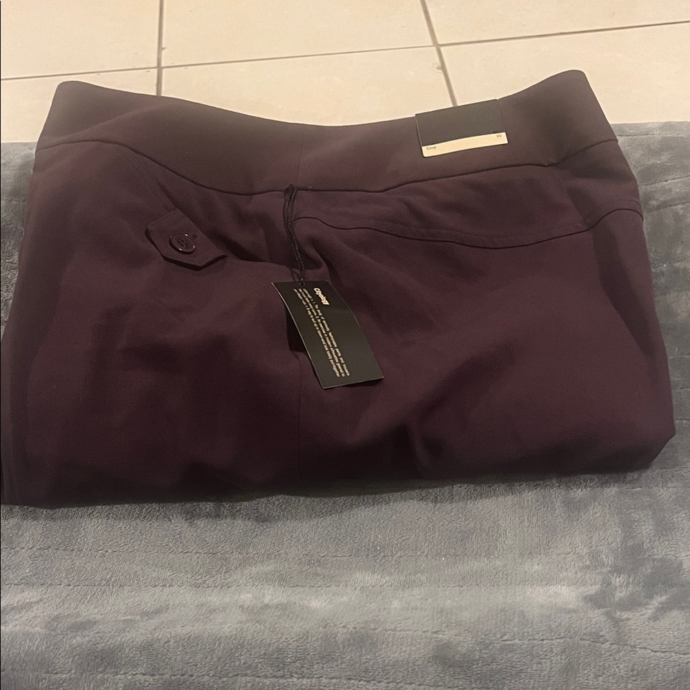 Lane Bryant Deep Purple Apparel